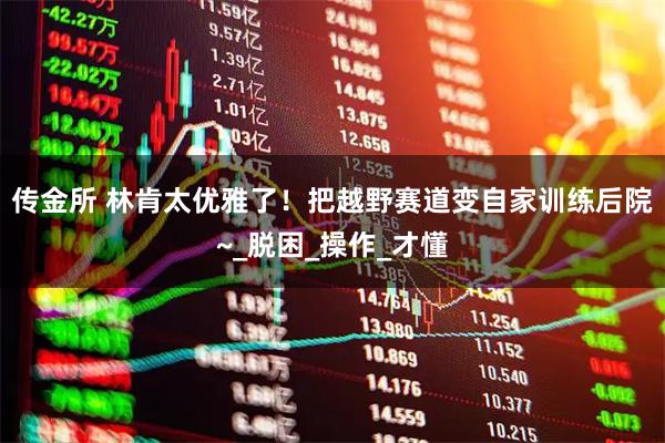 传金所 林肯太优雅了！把越野赛道变自家训练后院~_脱困_操作_才懂