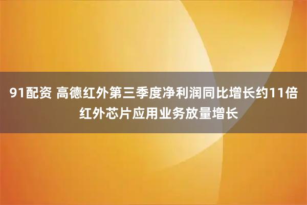 91配资 高德红外第三季度净利润同比增长约11倍   红外芯片应用业务放量增长