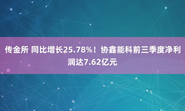 传金所 同比增长25.78%!协鑫能科前三季度净利润达7.62亿元