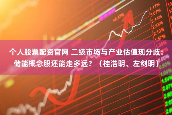 个人股票配资官网 二级市场与产业估值现分歧:储能概念股还能走多远?(桂浩明、左剑明)