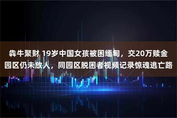 犇牛聚财 19岁中国女孩被困缅甸，交20万赎金园区仍未放人，同园区脱困者视频记录惊魂逃亡路